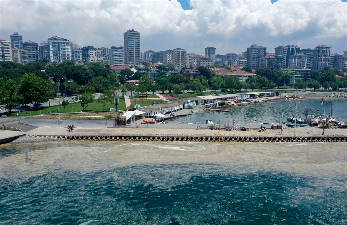 İstanbul'da müsilaj etkisini sürdürüyor