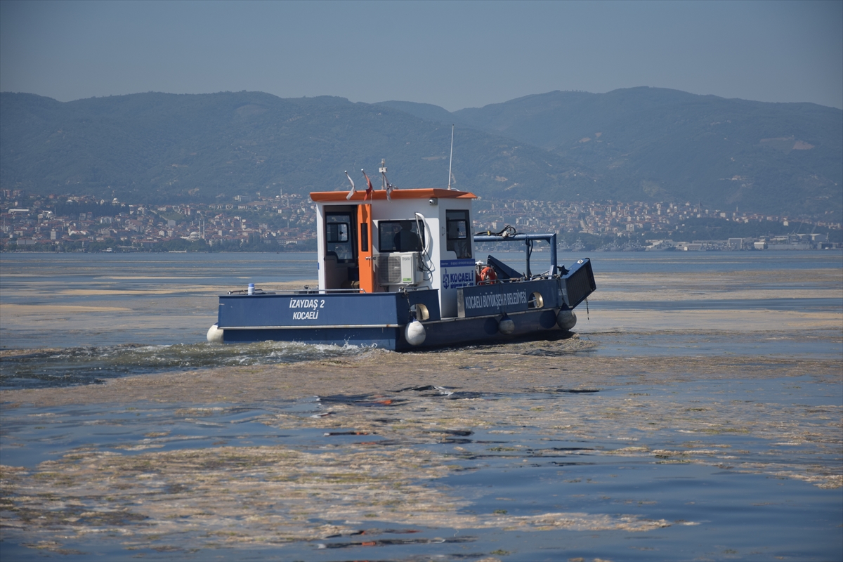 İzmit Körfezi'nde müsilaj temizleme çalışmaları devam ediyor