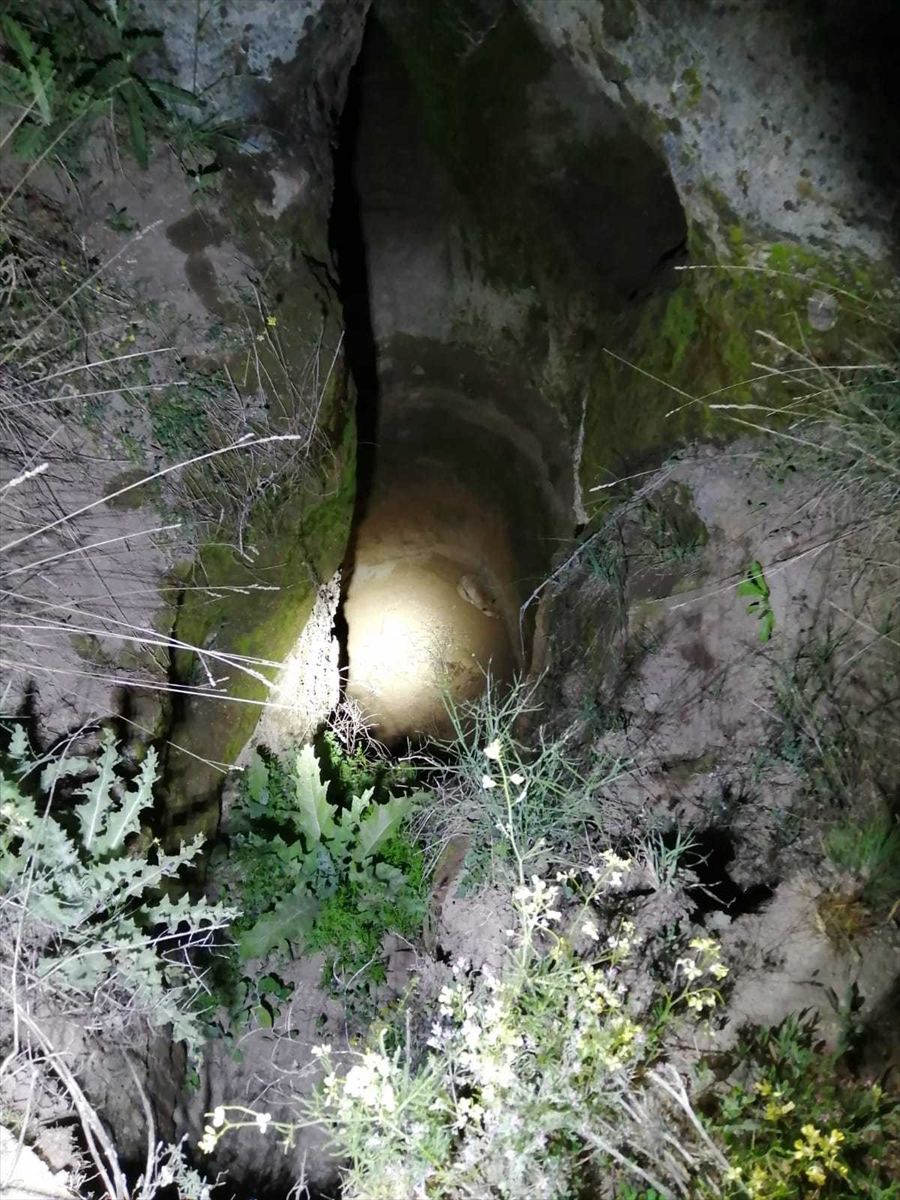 Kayseri'de çatı oluğunda ipe dolanan kırlangıç ve kuyuya düşen tilki yavrusu kurtarıldı