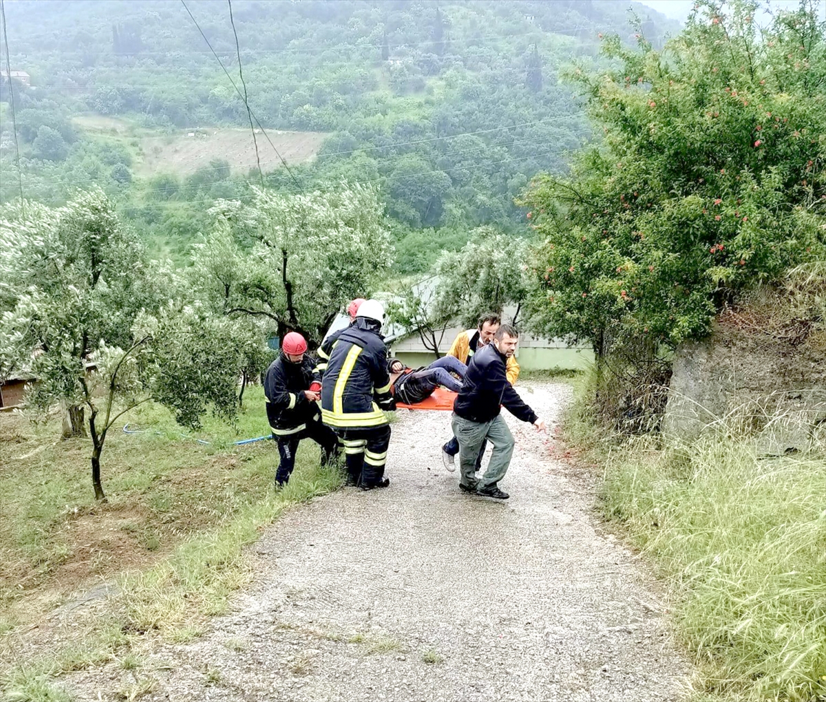 Kocaeli'de yamaç aşağı sürüklenerek zeytin ağaçlarına çarpan otomobilin sürücüsü yaralandı