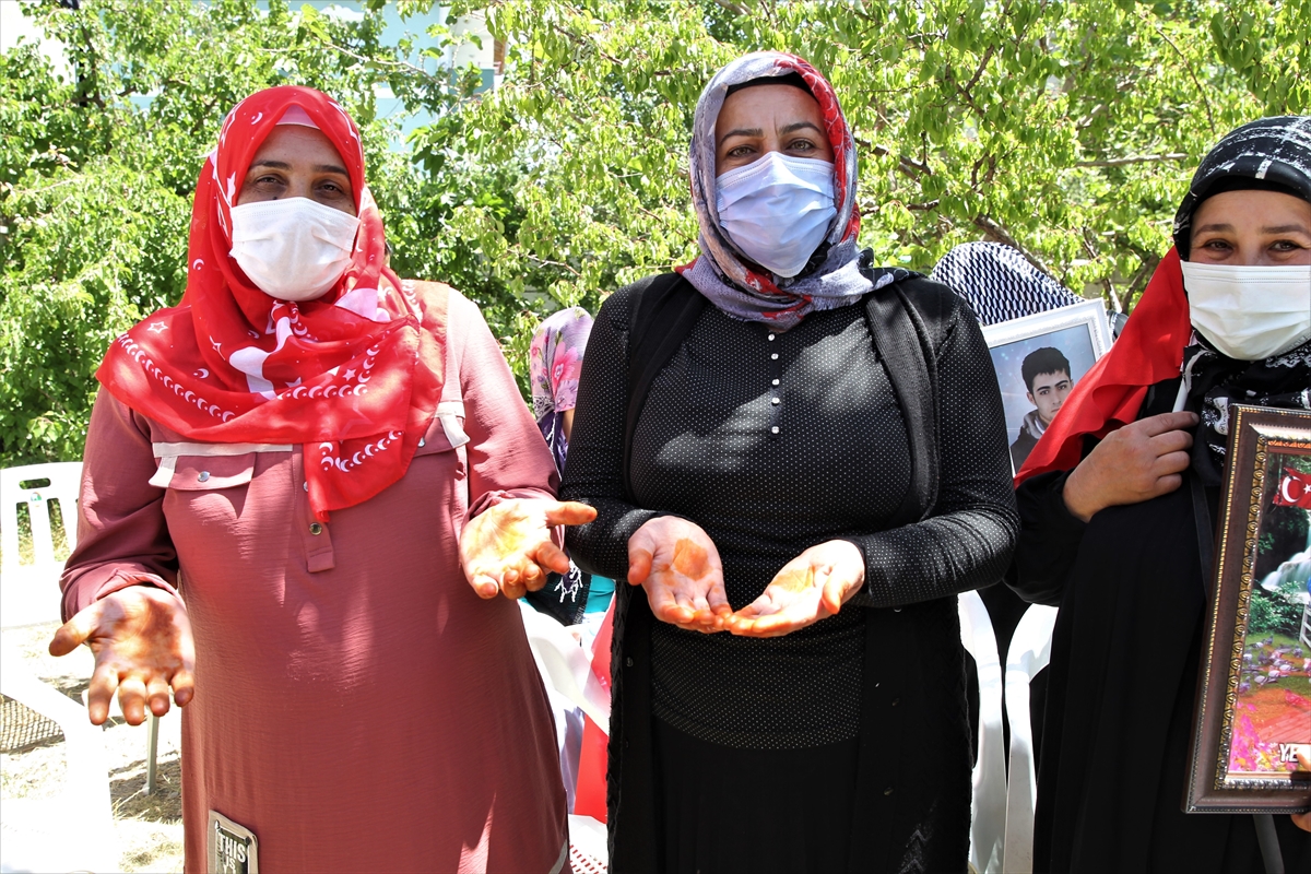 Van'da HDP önünde eylem yapan anne, kızının PKK'dan kaçmasının mutluluğunu yaşıyor