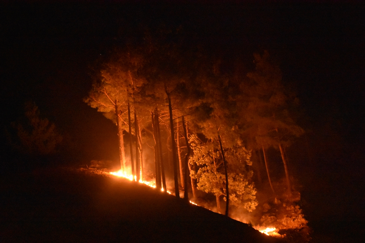 Adana Kozan'daki orman yangınına müdahale sürüyor
