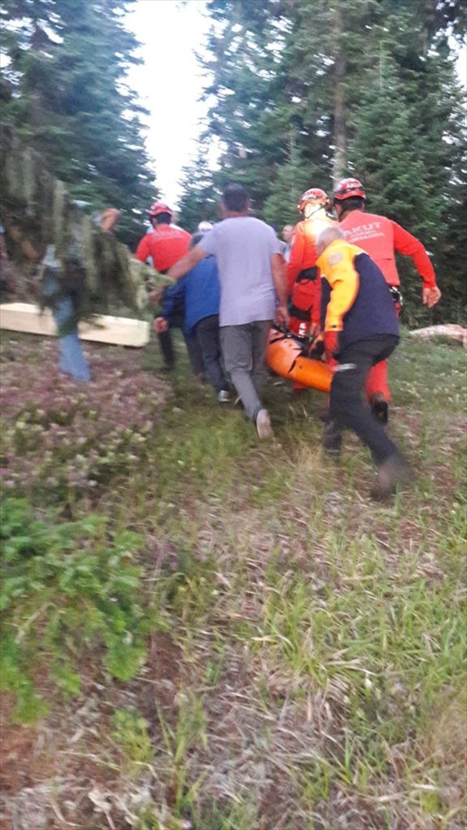 Artvin'de uçuruma düşen kadın hayatını kaybetti