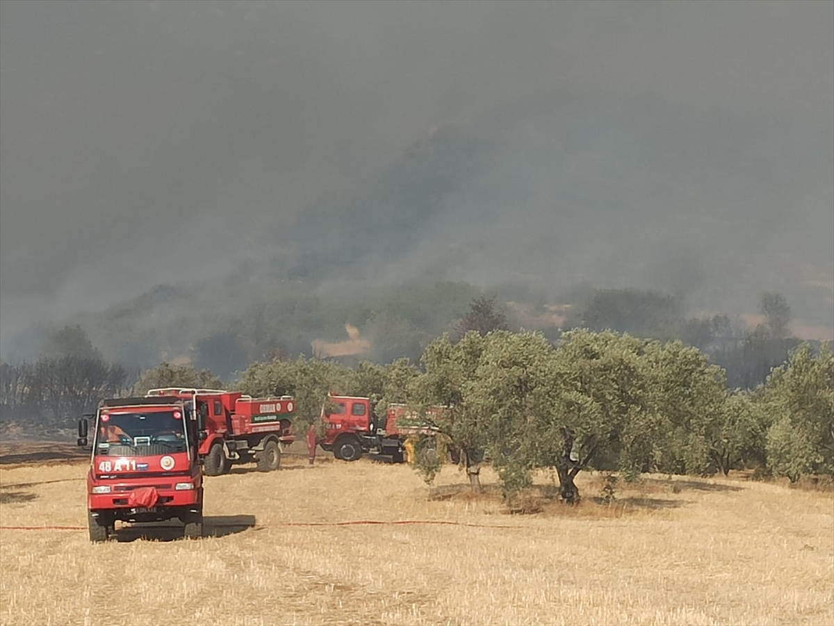 Aydın'da makilik alanda çıkan yangına müdahale ediliyor