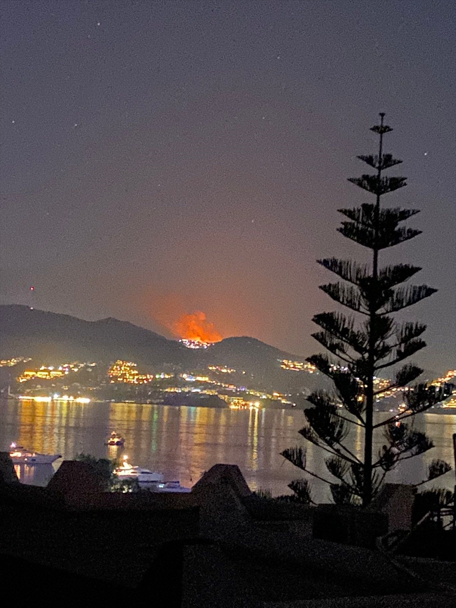 Muğla'da makilik ve otluk alanda yangın çıktı