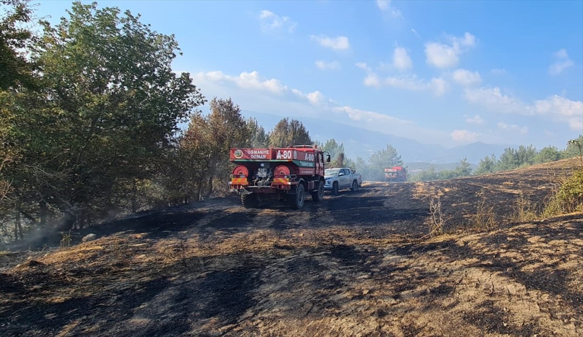 Osmaniye'de tarlada başlayan ve ormanlık alana sıçrayan yangın kontrol altına alındı