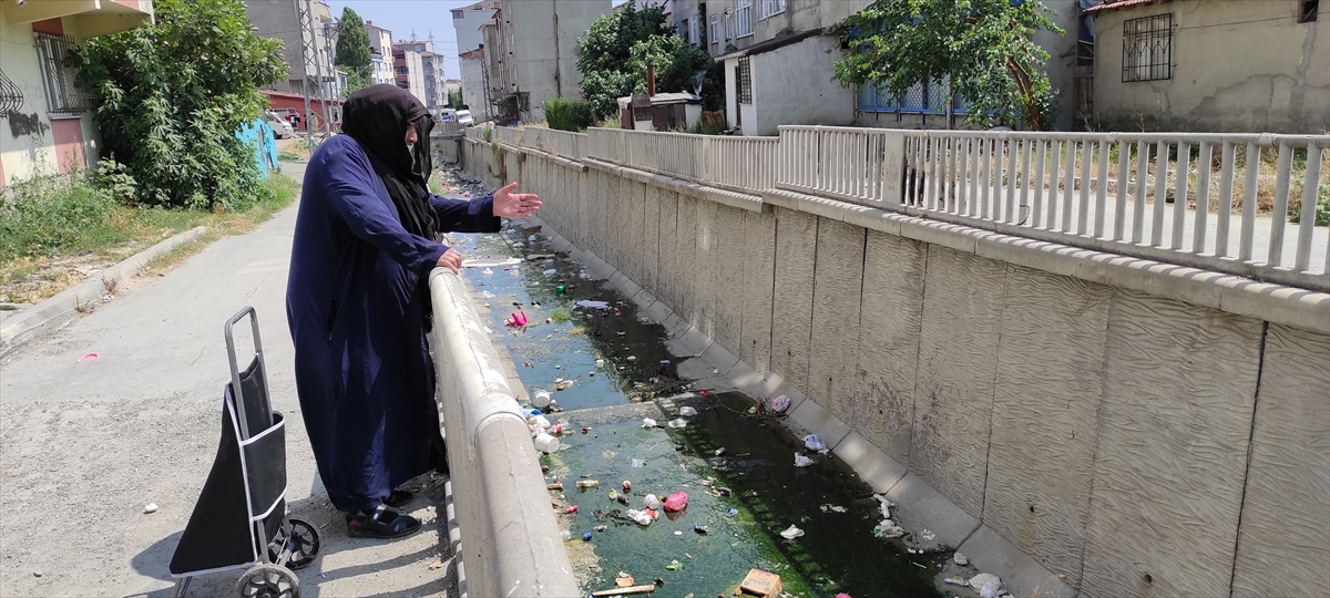 Vatandaşları rahatsız eden sivrisinekler, İstanbul'un farklı ilçelerinde de görülmeye başladı