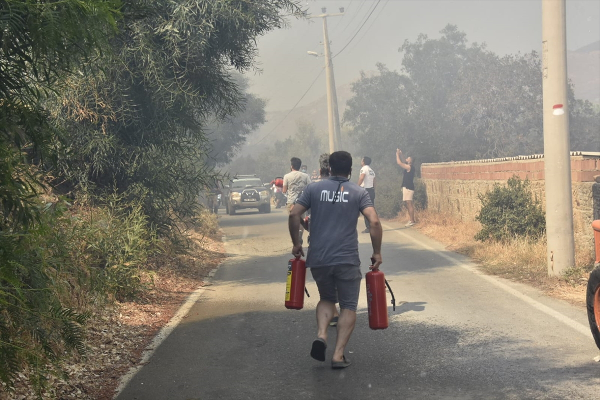 Bodrum'da makilik ve otluk alanda yangın çıktı