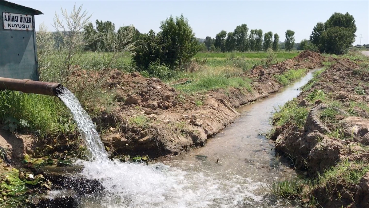 Edirne'de köyde tarla sulama tartışması: 1 ölü