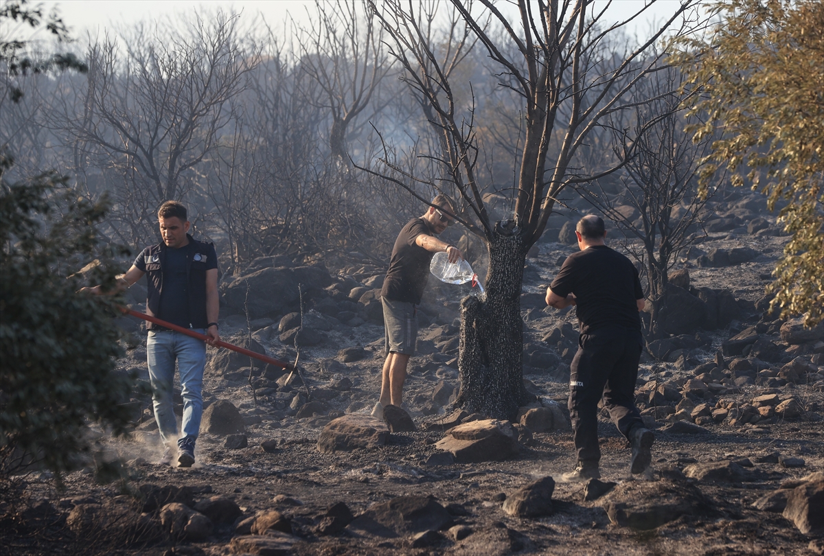 GÜNCELLEME 2 – İzmir'de makilik alanda çıkan yangına müdahale ediliyor