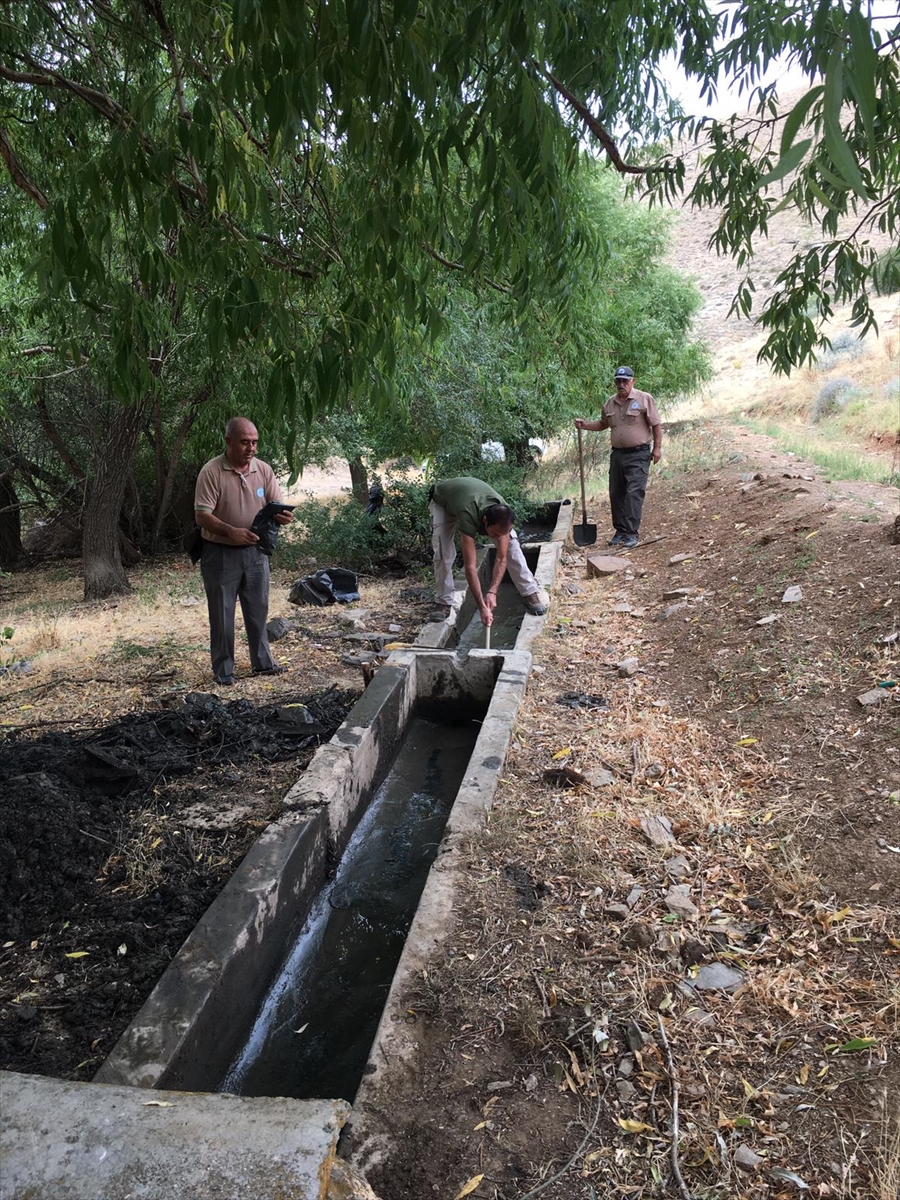 Kırşehir Kervansaray Dağı, Anadolu yaban koyunları için hazırlanıyor