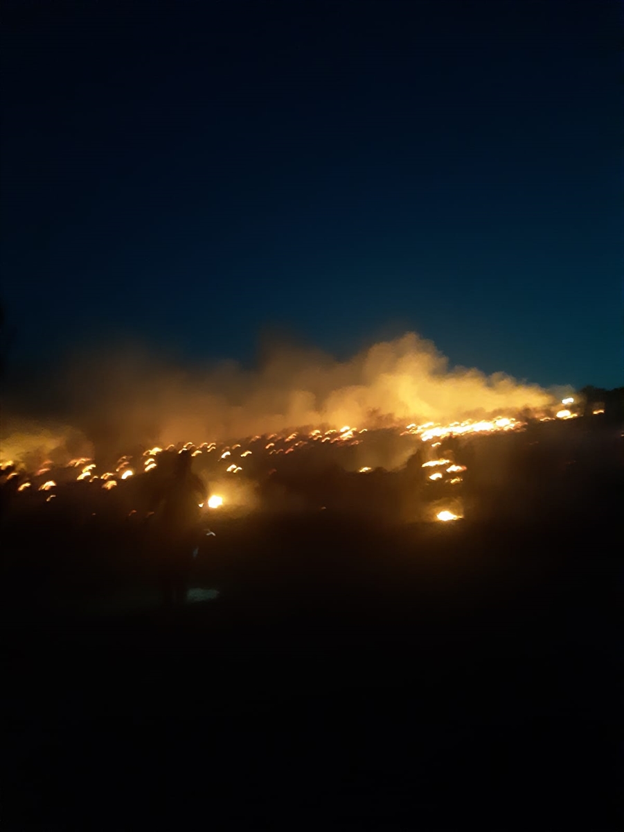 Manisa'nın Soma ilçesindeki ormanlık alanda çıkan yangın kısmen kontrol altında