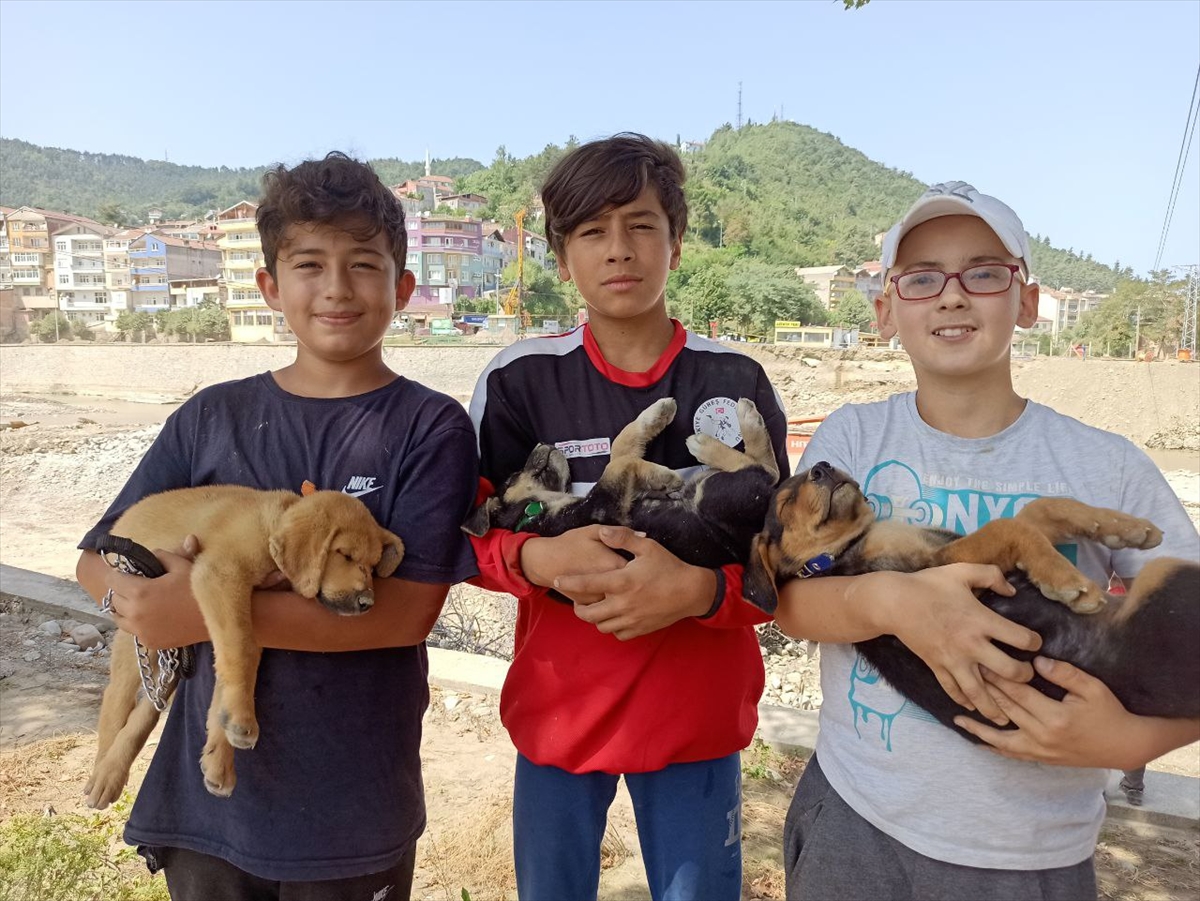 Sinop'ta selde anneleri kaybolan köpek yavrularına çocuklar sahip çıktı