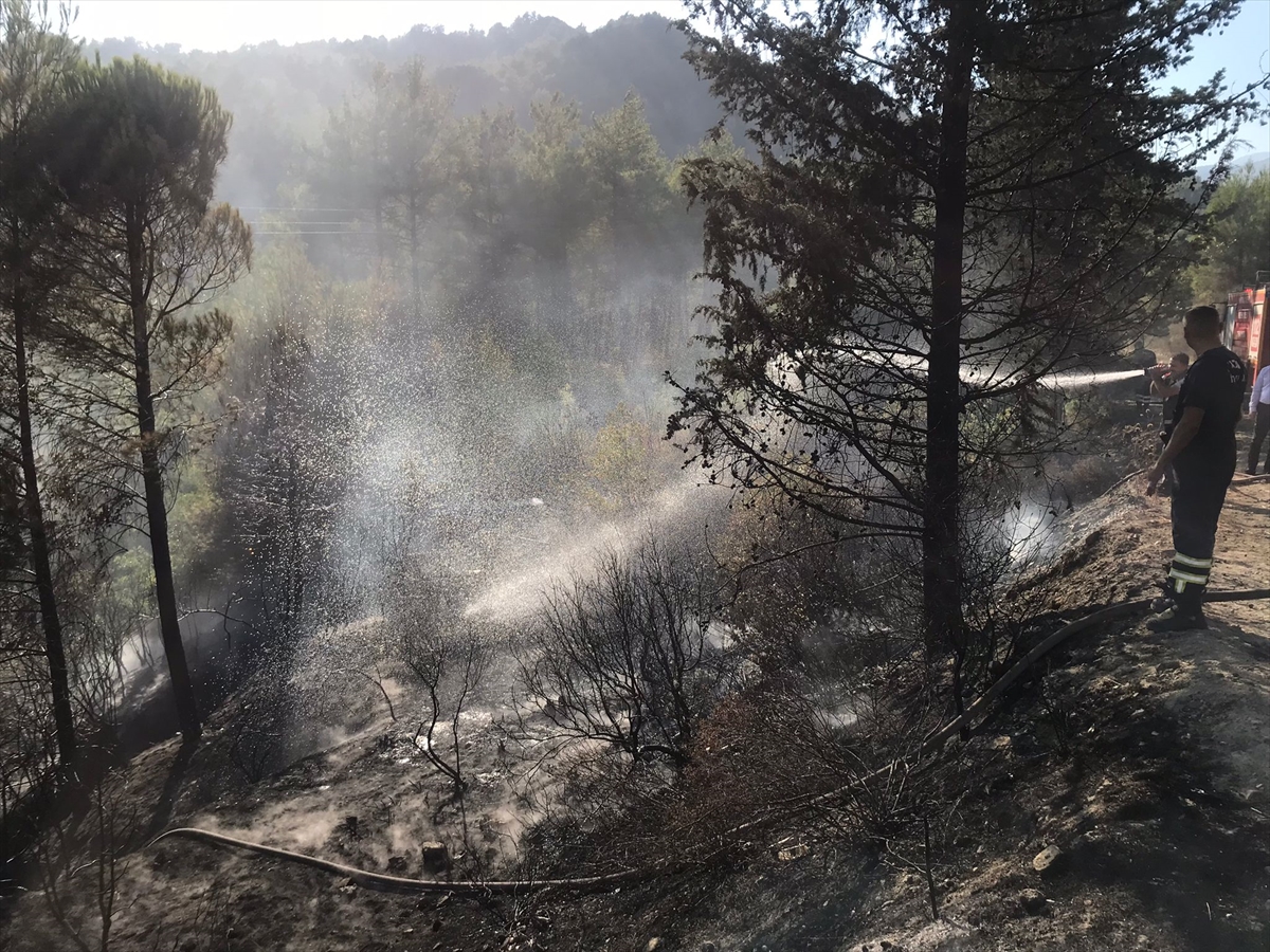 Amanos Dağları'nda çıkan orman yangınına müdahale ediliyor