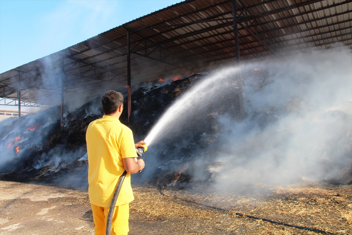 Amasya'da besi çiftliğinde çıkan yangına müdahale ediliyor