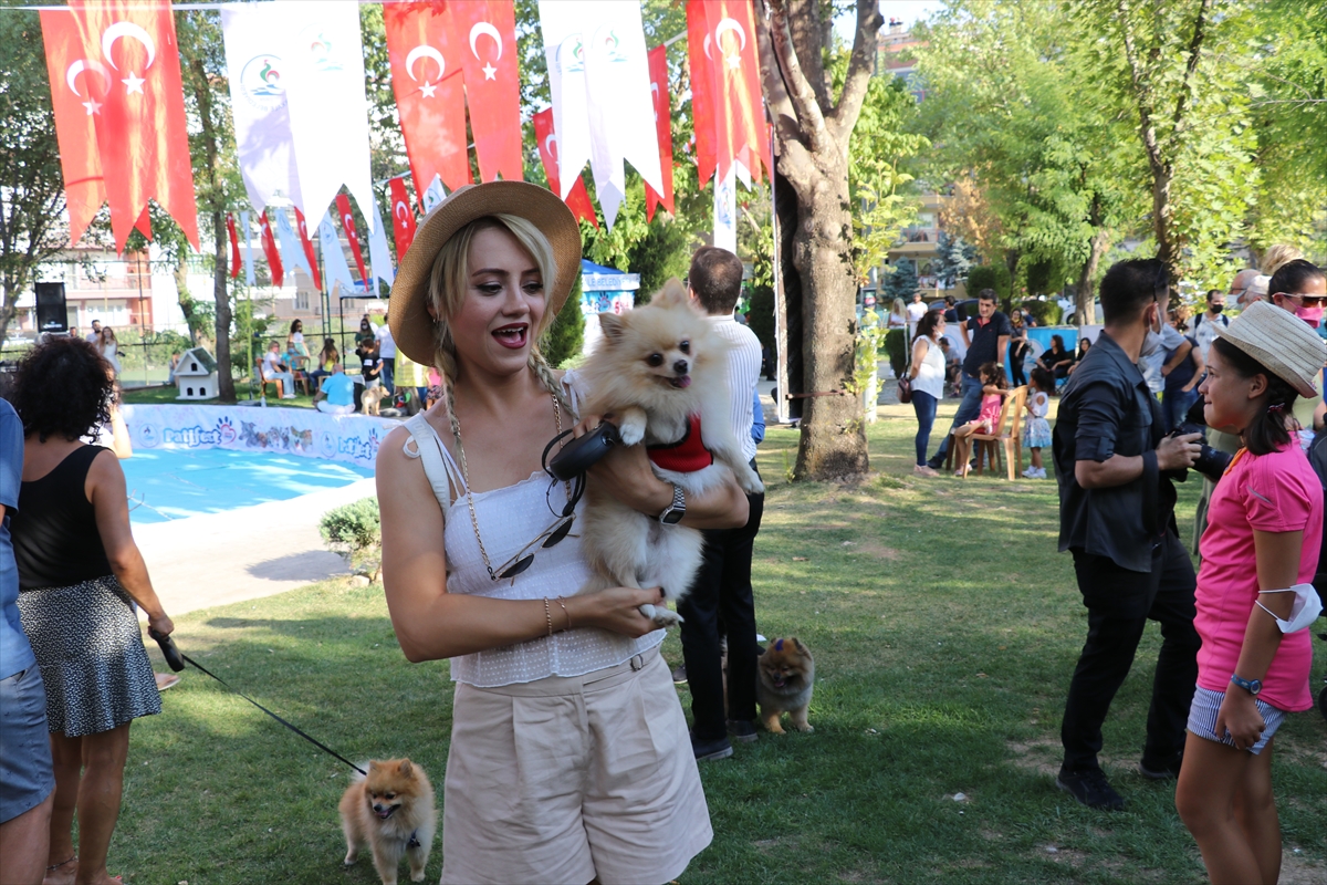 Denizli Pati Festivali'nde köpekler sokak hayvanları için yarıştı