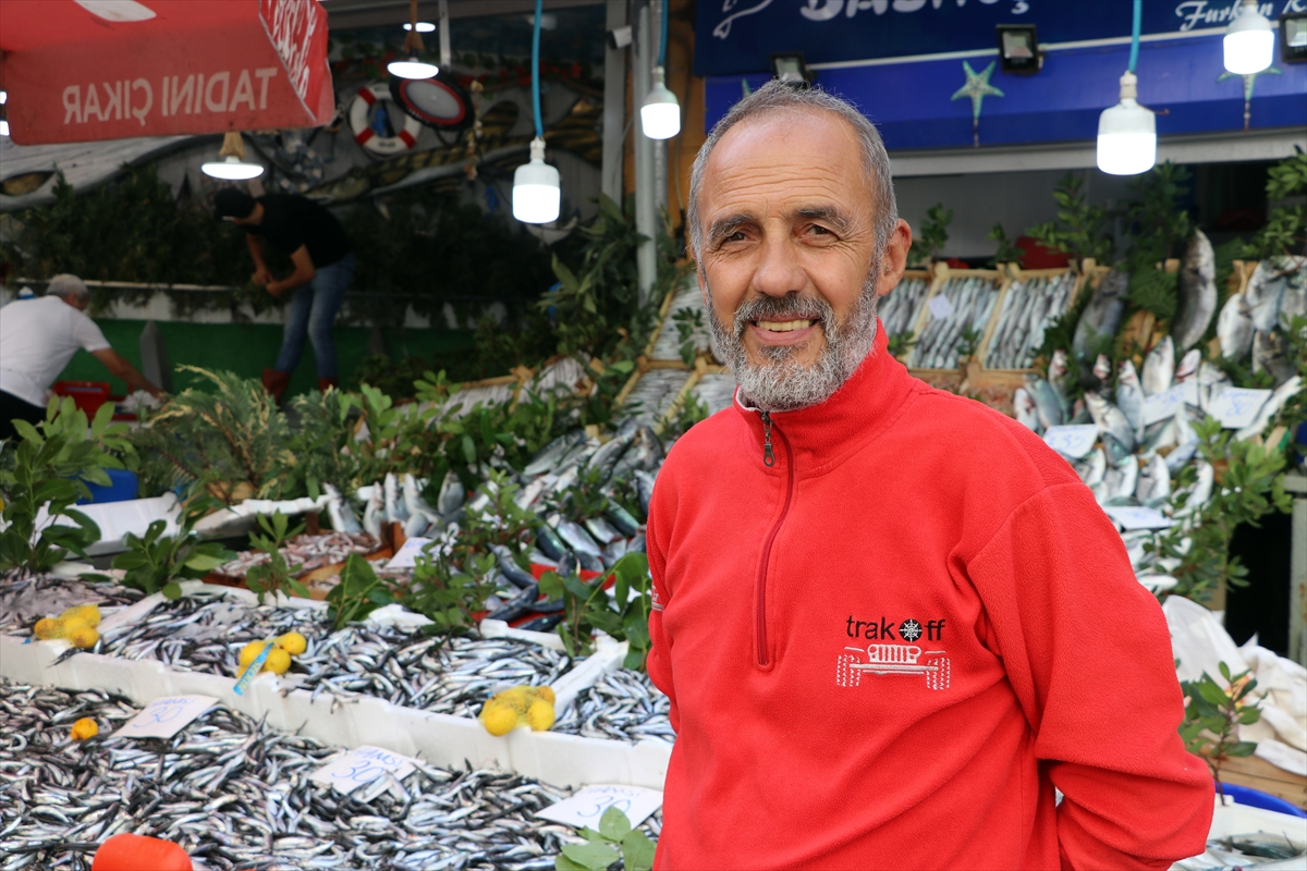 Hamsi ve istavrit bolluğu balıkçı tezgahlarını şenlendiriyor