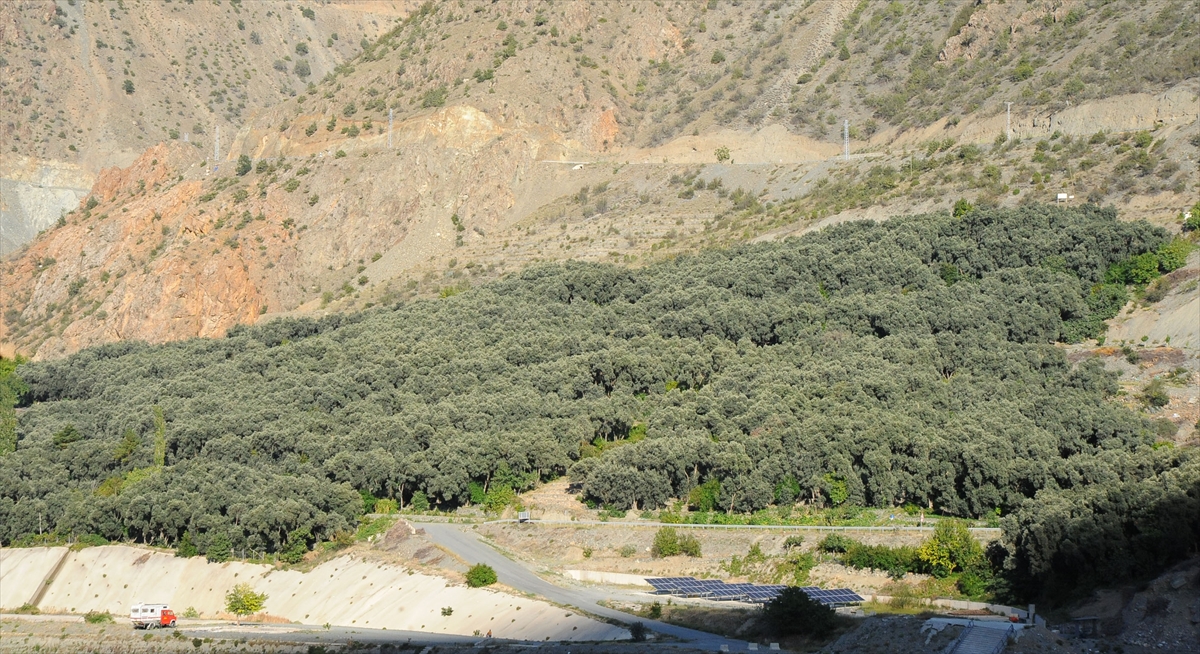 Köylülerin sulama sıkıntısı güneş panelli sistemle sona erdi