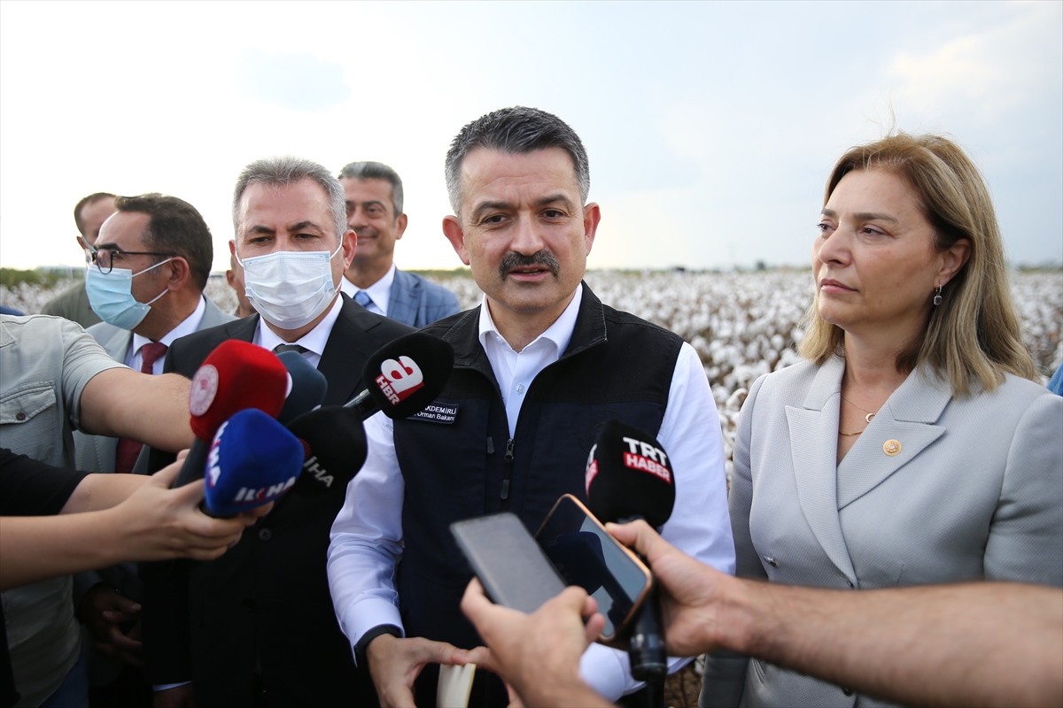 Tarım ve Orman Bakanı Bekir Pakdemirli: “Pamukta bu sene çiftçinin yüzü güldü”