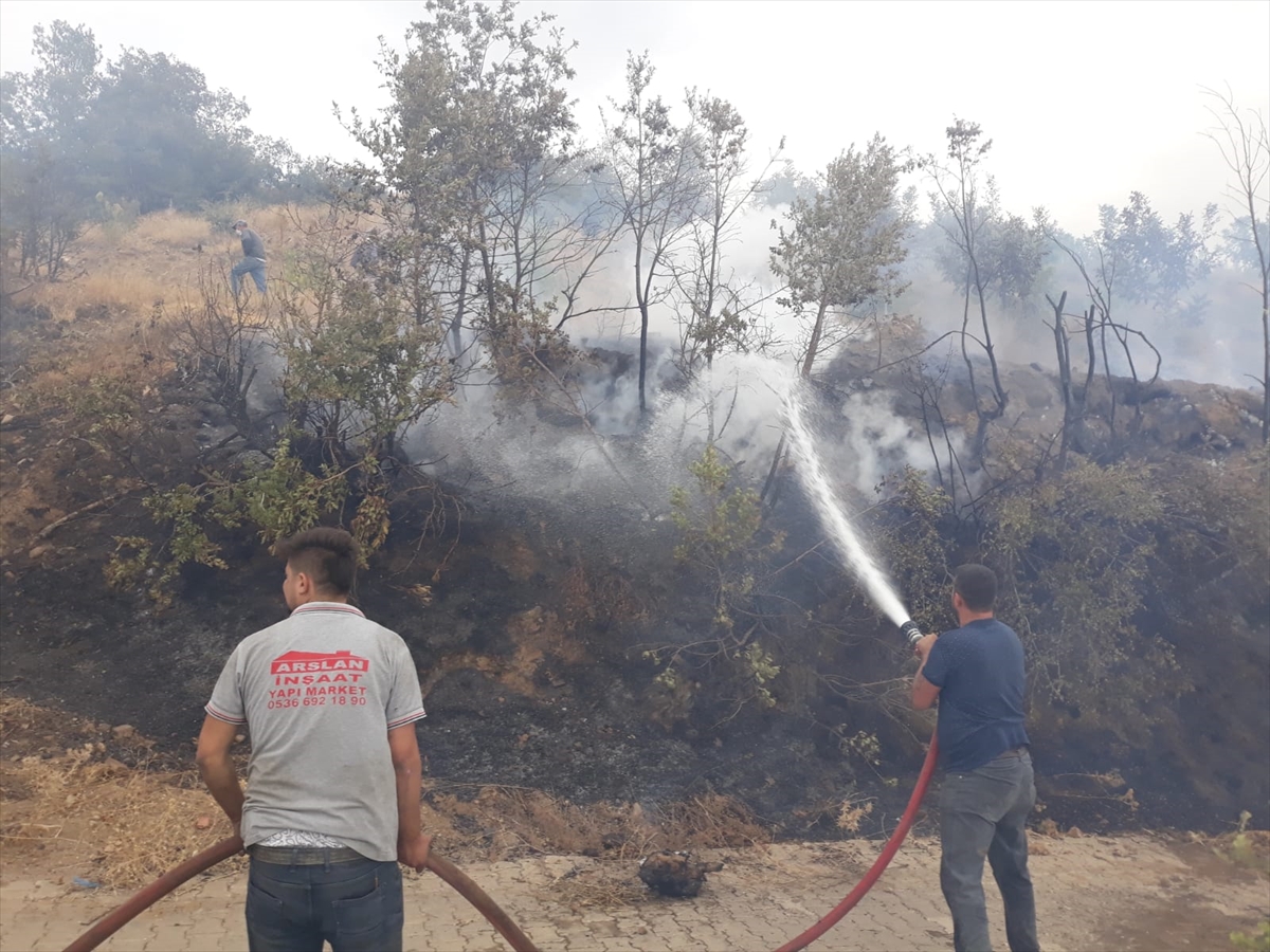 İzmir'de çıkan orman yangınları kontrol altına alındı