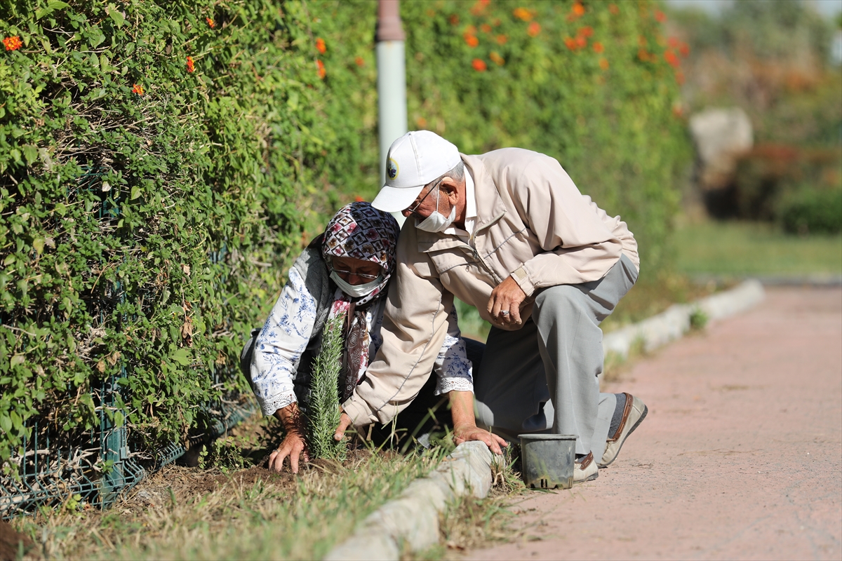 Antalya'da alzaymır hastaları için aromatik bitki bahçesi oluşturuldu