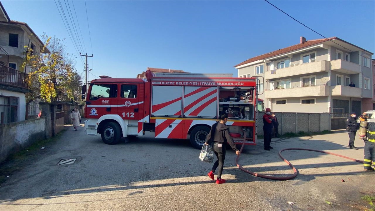 Düzce'de barakada çıkan yangında 11 köpek yavrusu telef oldu