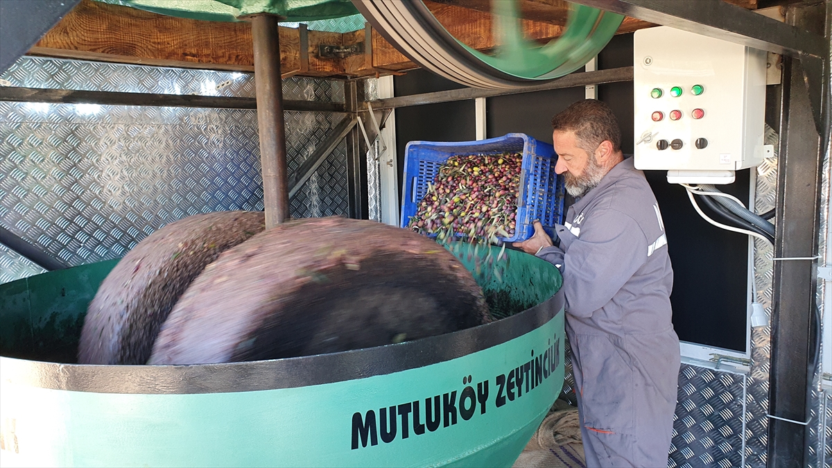 Kamyonuna geleneksel taş baskı sistemi kuran muhtar il il gezerek zeytinyağını tanıtacak