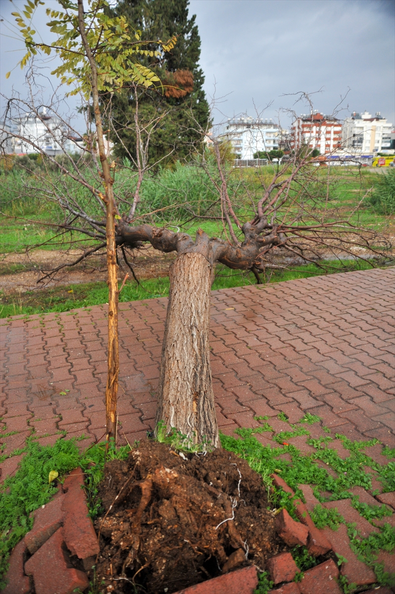 GÜNCELLEME – Antalya'da kuvvetli rüzgar ve sağanak etkili oluyor