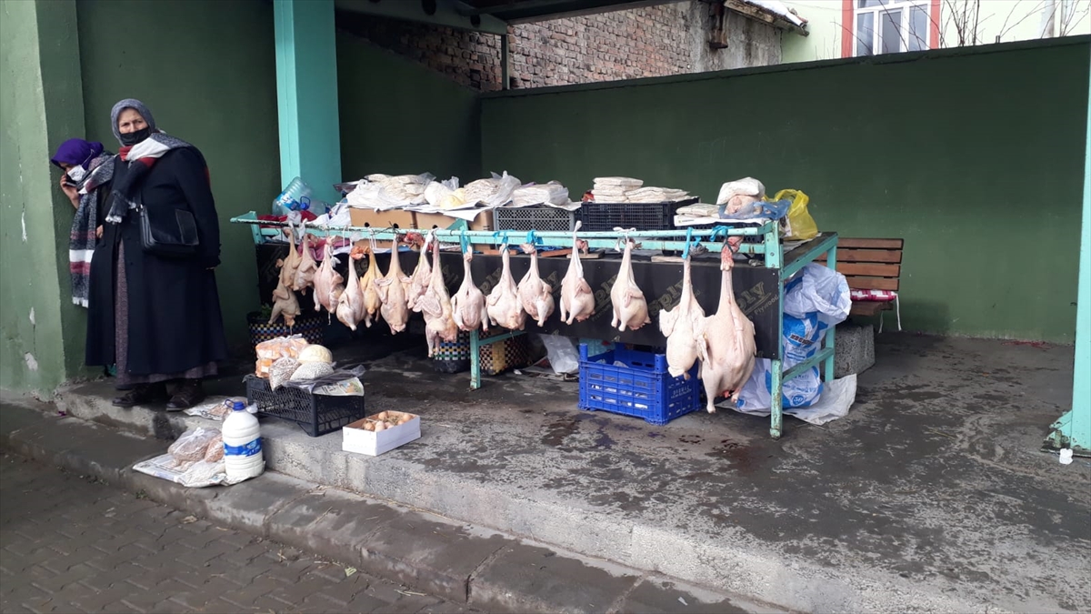 Doğal ortamda yetişen “Eflani hindisi” yılbaşı öncesi rağbet görüyor