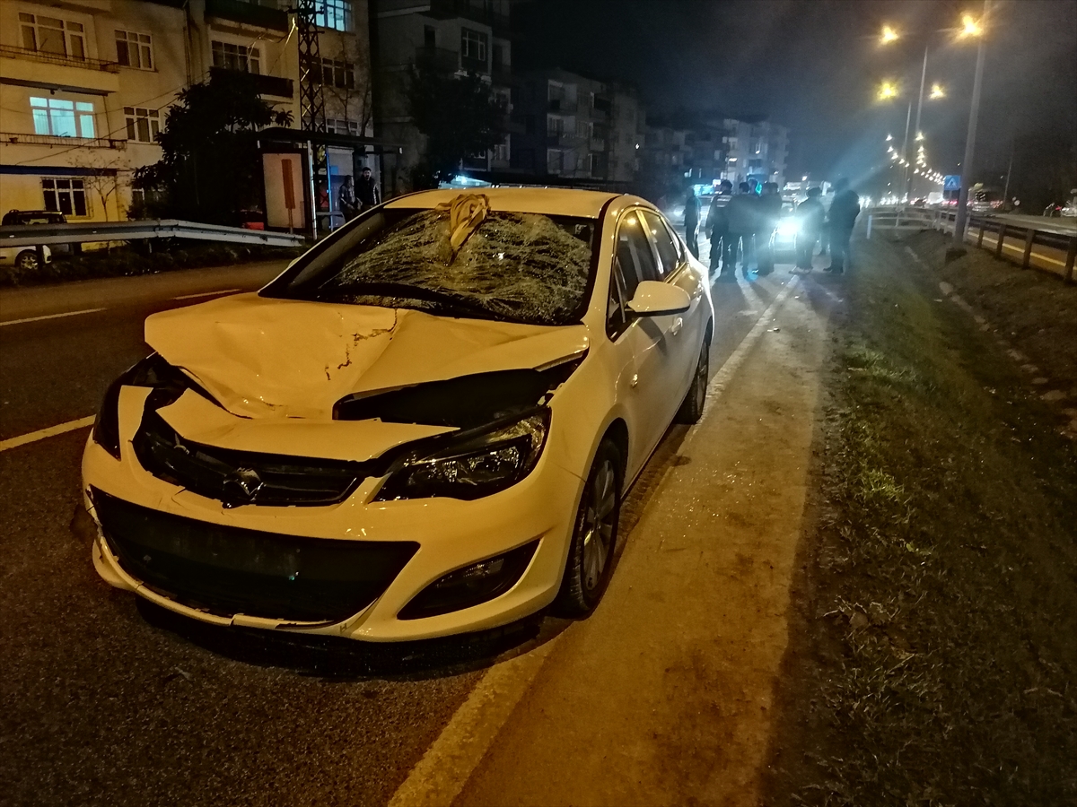 Ordu'da otomobilin çarptığı kadın hayatını kaybetti