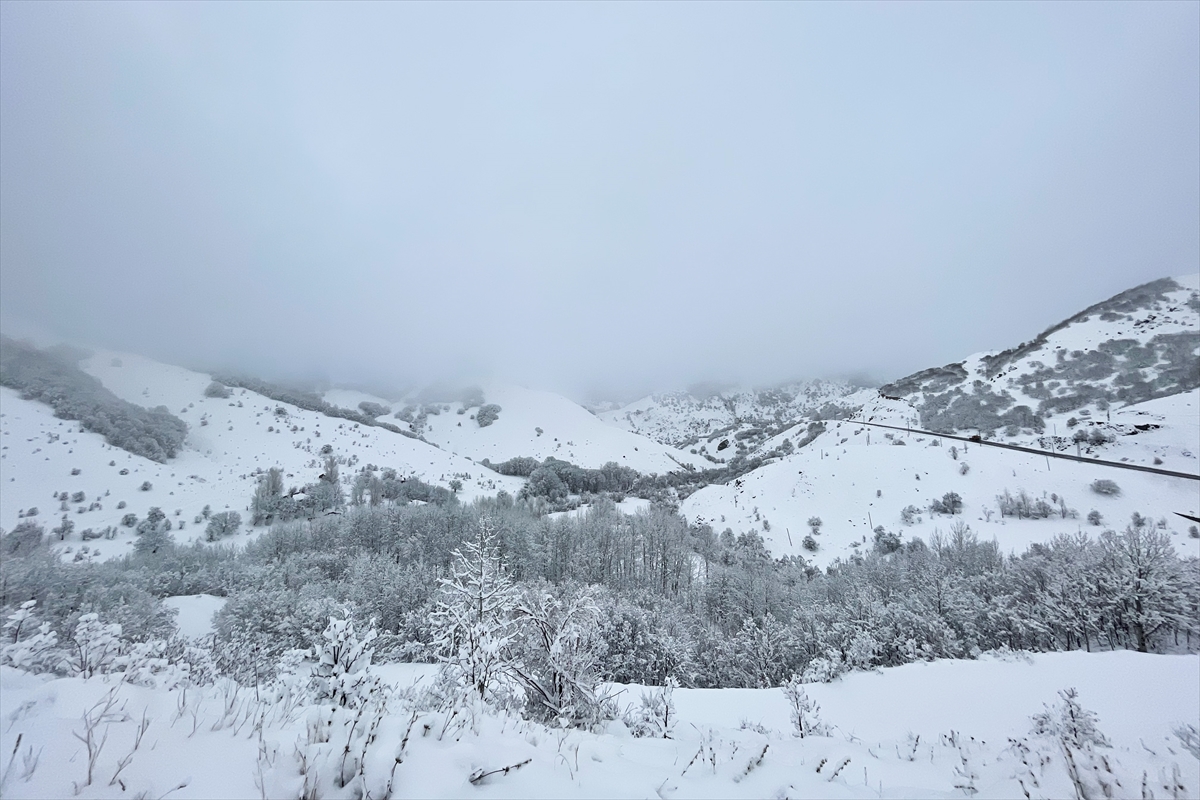 Tunceli'nin Pülümür ilçesinde kar kalınlığı 15 santimetreye ulaştı