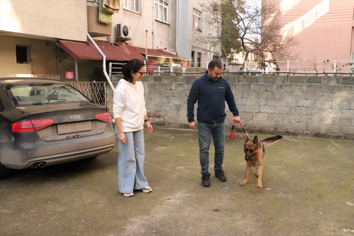 Zonguldak'ta çalınan köpeklerini bulan çift, büyük sevinç yaşadı