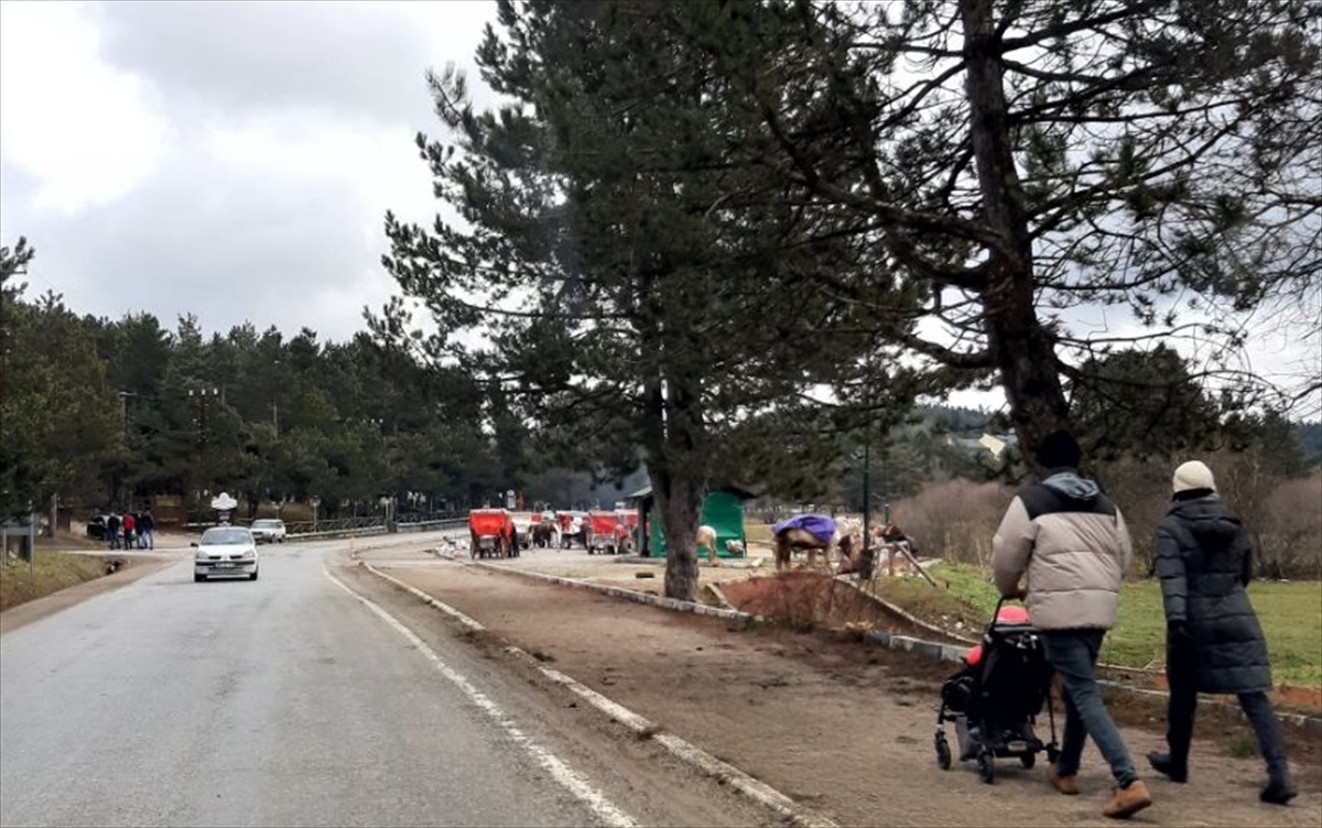 Abant hafta sonunda tatilcilerin ilgi odağı oldu