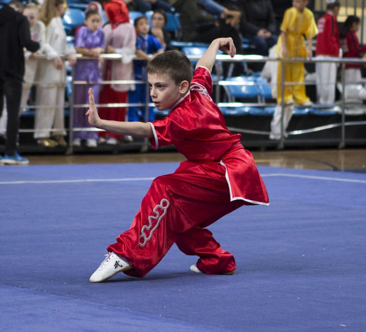 Binlerce yıllık “dövüş sanatı”: Wushu