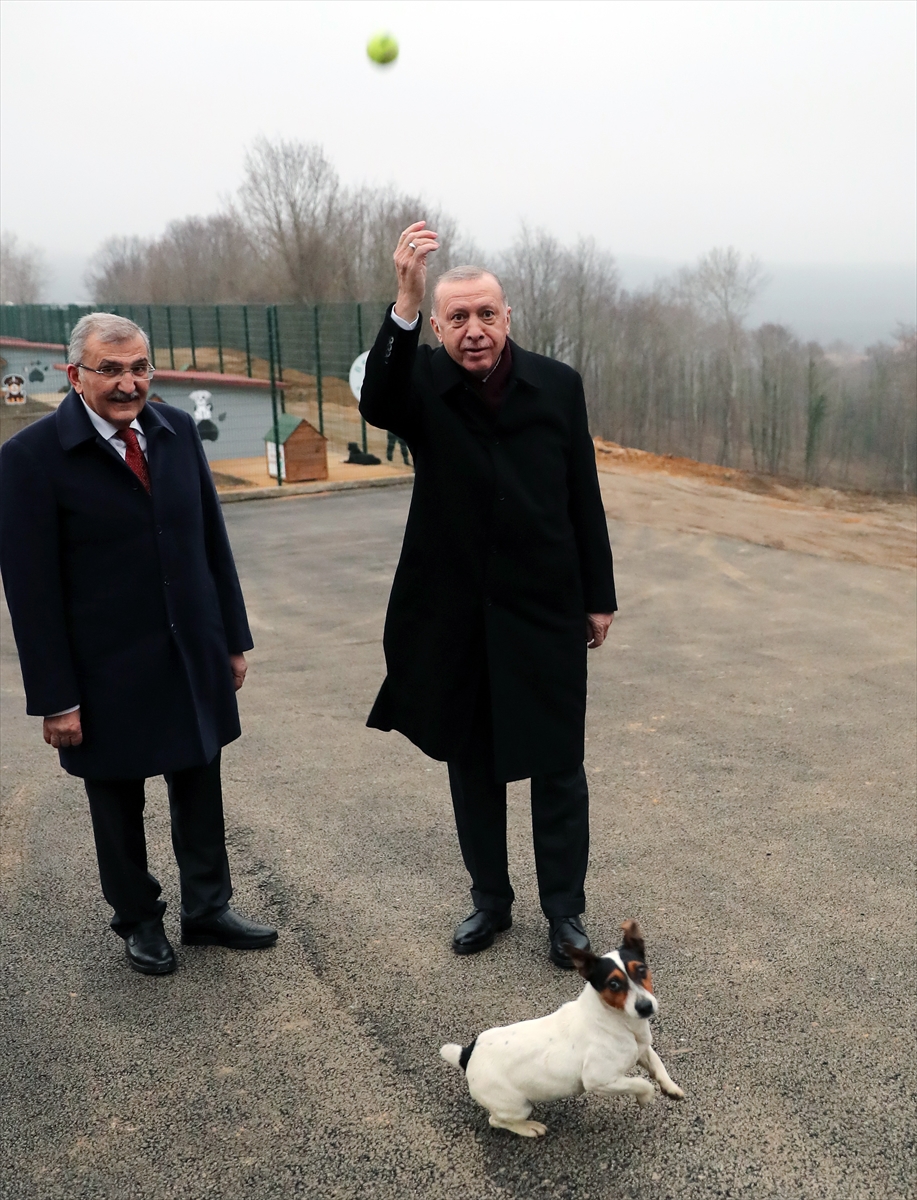 Cumhurbaşkanı Erdoğan, Beykoz Belediyesi Hayvan Rehabilitasyon Merkezini ziyaret etti