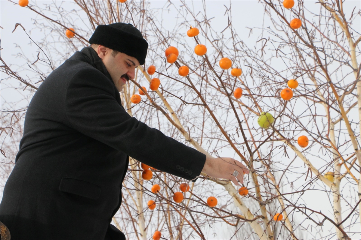 Erzurum'da kuşlar için yuva yerleştirilen ağaçların dalları da meyvelerle donatıldı