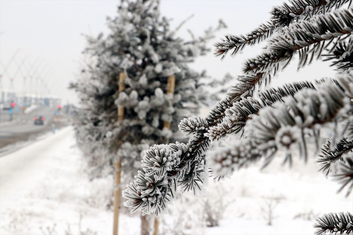 Erzurum, Ağrı ve Iğdır'da soğuk hava etkili oluyor