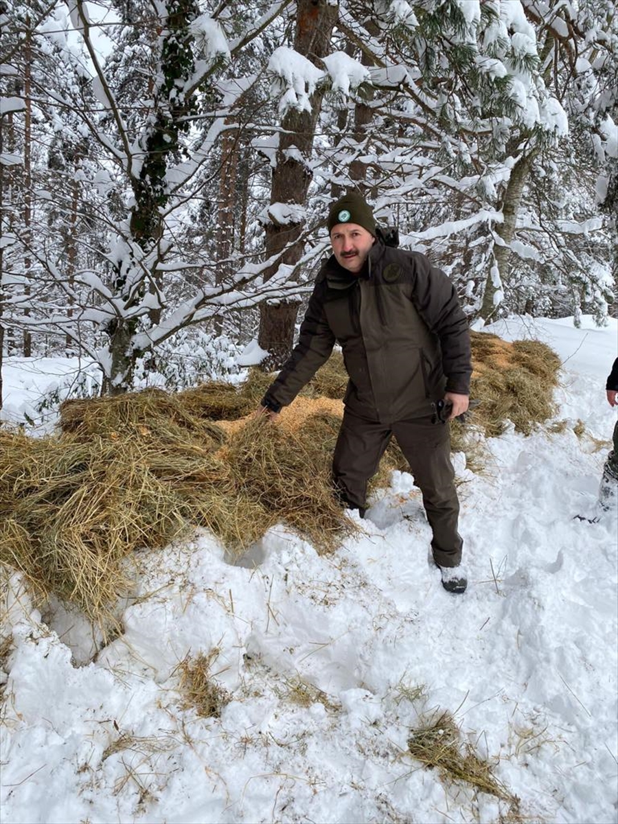 Sakarya ve Düzce'de hayvanlar için doğaya yiyecek bırakıldı