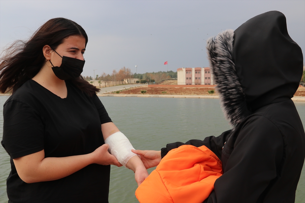 Şanlıurfa'da sokak köpeklerinin saldırısına uğrayan üniversite öğrencisi kız yaralandı