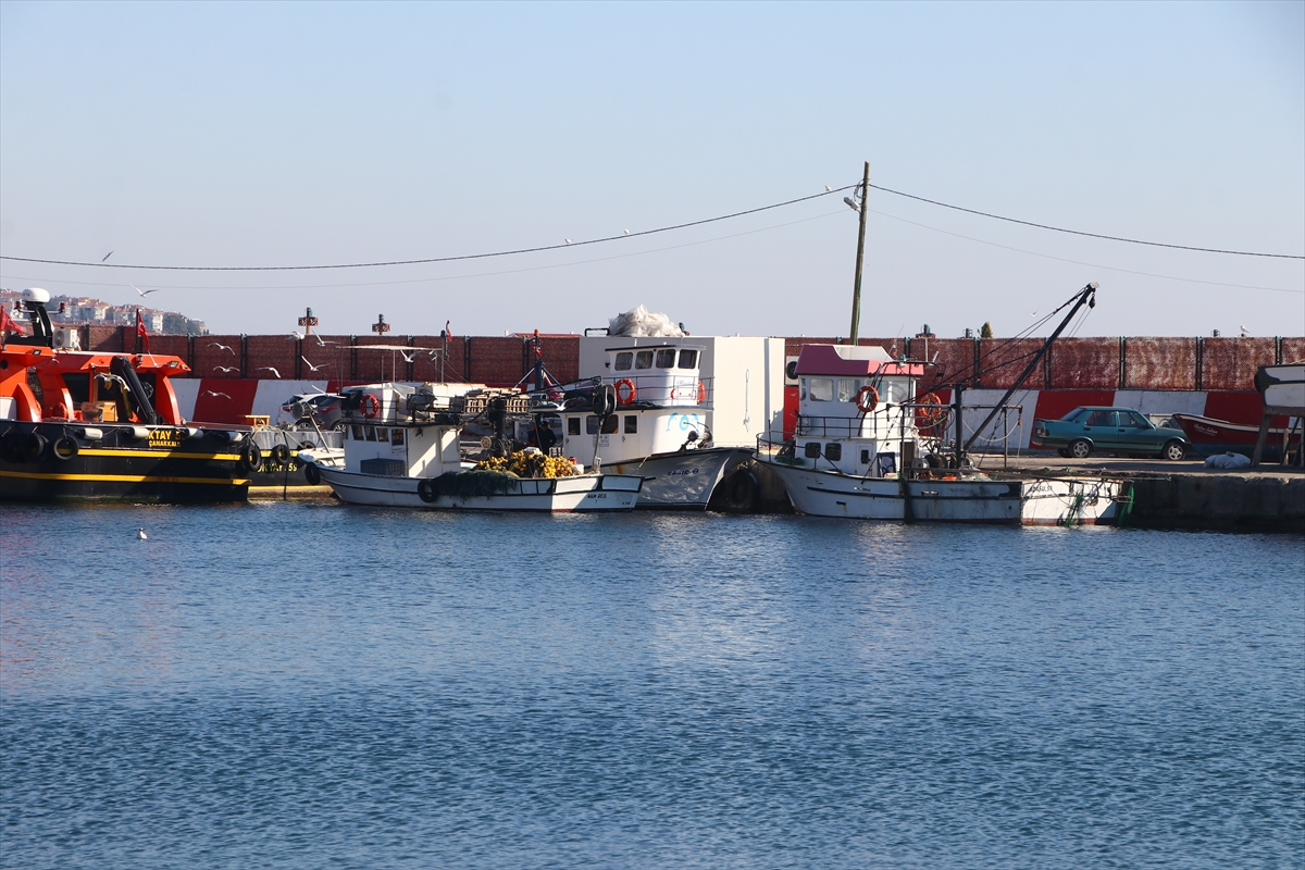 Tekirdağ'da küçük tekne balıkçılarının umudu karides