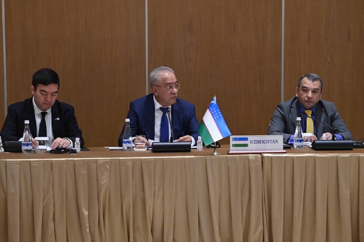 AB ve Orta Asya ülkeleri Afganistan Özel Temsilcileri Konferansı Taşkent'te yapıldı