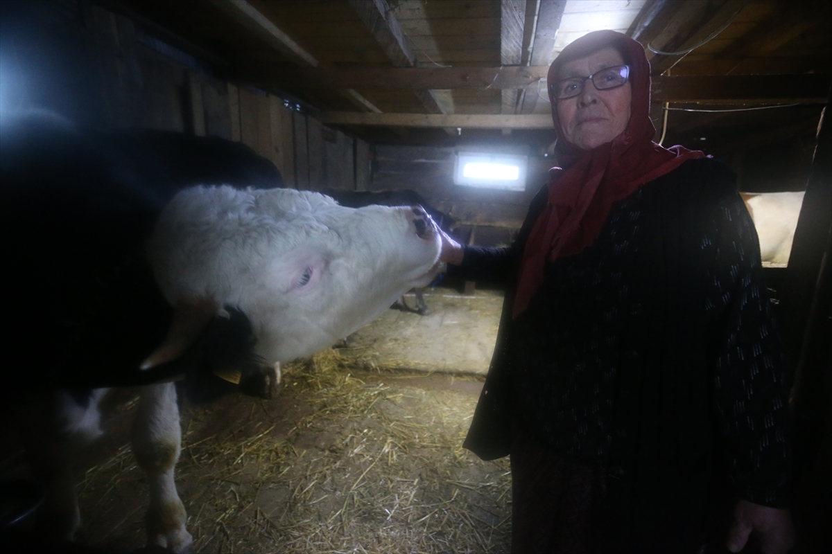 Aradığı huzuru yayla yaşamında buldu