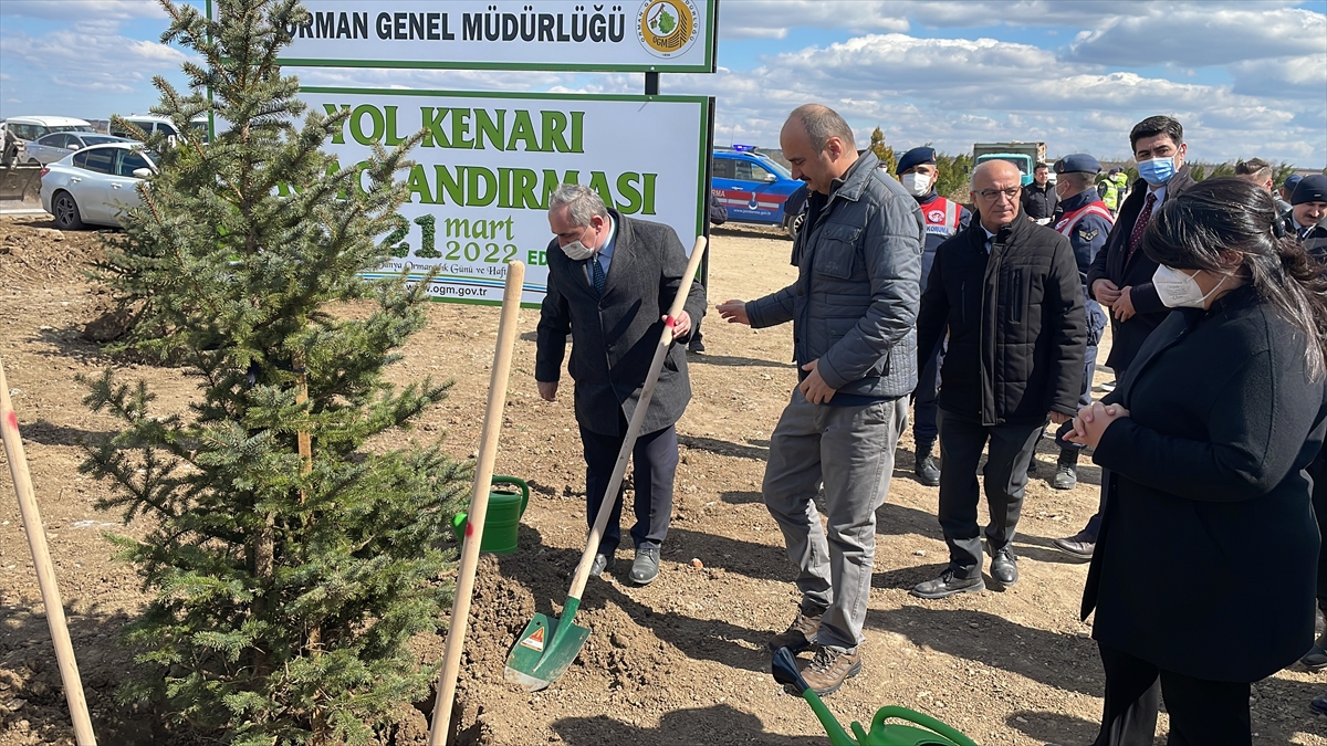 Dünya Ormancılık Günü ve Orman Haftası kapsamında fidanlar toprakla buluşturuldu