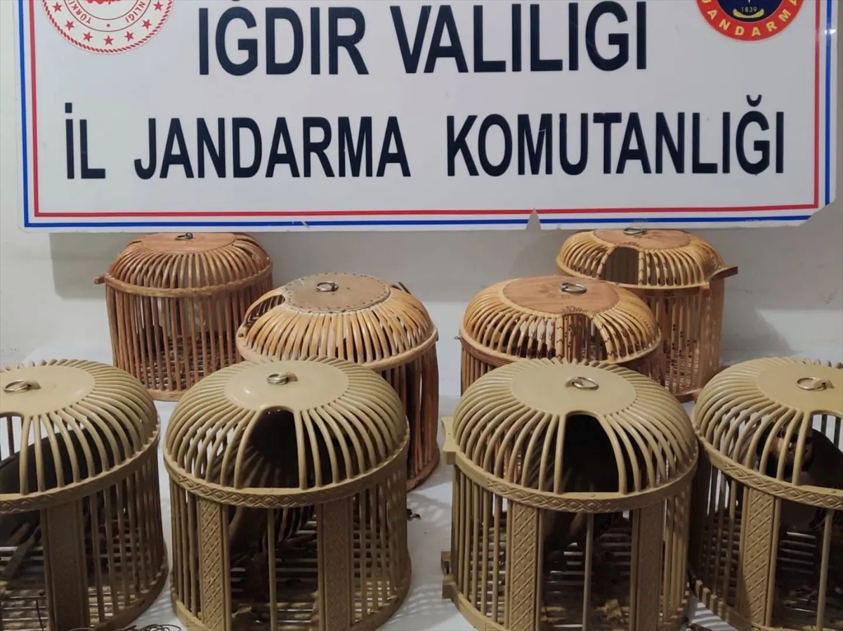 Iğdır'da kaçak avcılara 10 bin 158 lira ceza kesildi