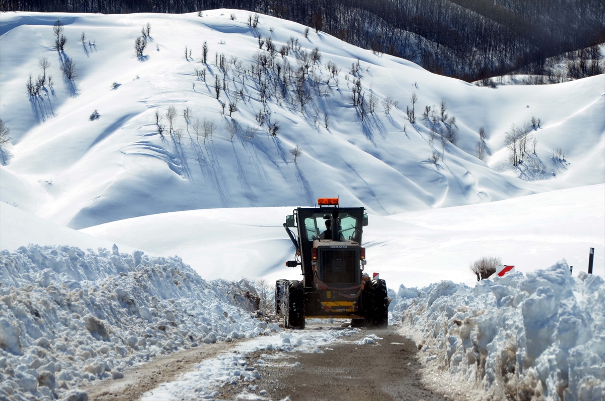 Van, Muş, Bitlis ve Hakkari'de 172 yerleşimin yolu kardan kapandı