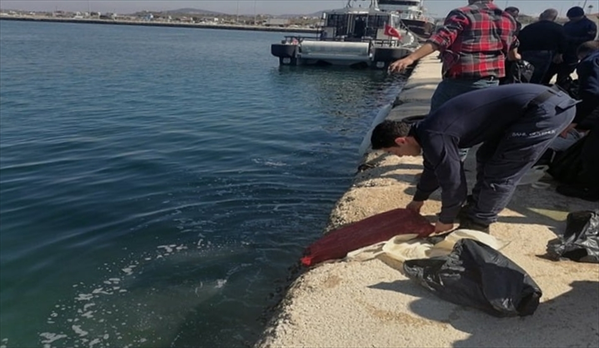 Edirne'de kaçak toplanan 1 ton kum midyesi ele geçirildi