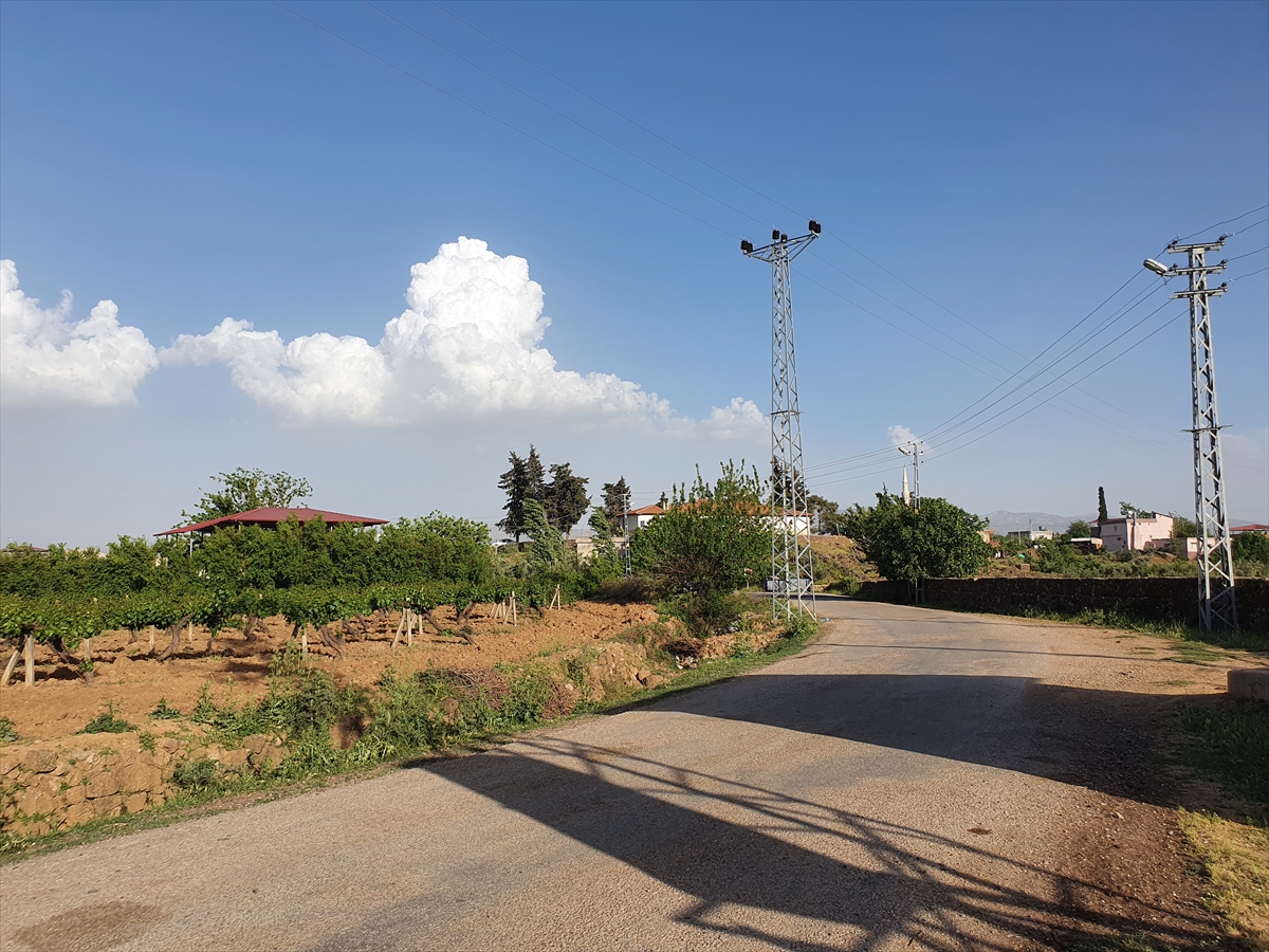 Hatay'da bir mahalle kuduz karantinasına alındı