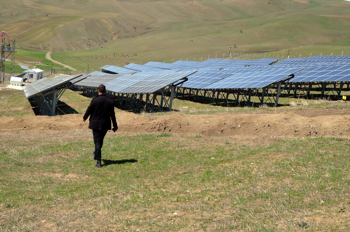 Muş'ta üç girişimci 20 dönümlük araziye güneş enerjisi santrali kurdu