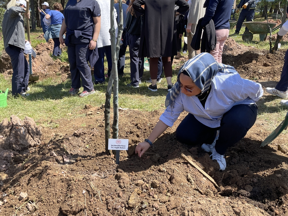 Hemşireler Pendik'te hatıra ormanı oluşturdu