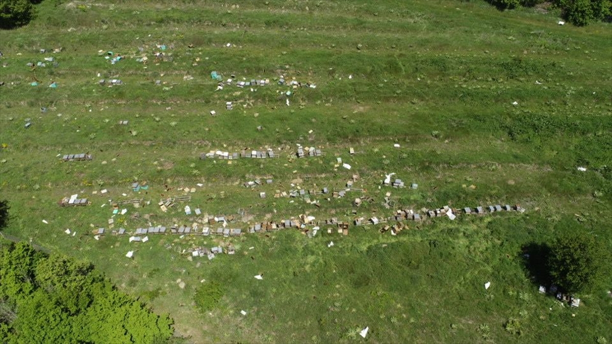 Tekirdağ'da araştırma için beslenen arı kovanlarını tahrip edenlerin yakalanması için çalışma başlatıldı